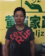 杜英花照片
