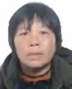 赵凤秀照片