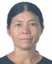 何丽华照片