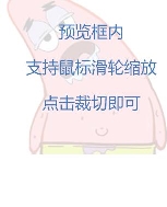 郑丽清照片