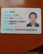 兰金花照片