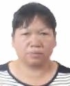 裴贝婷照片